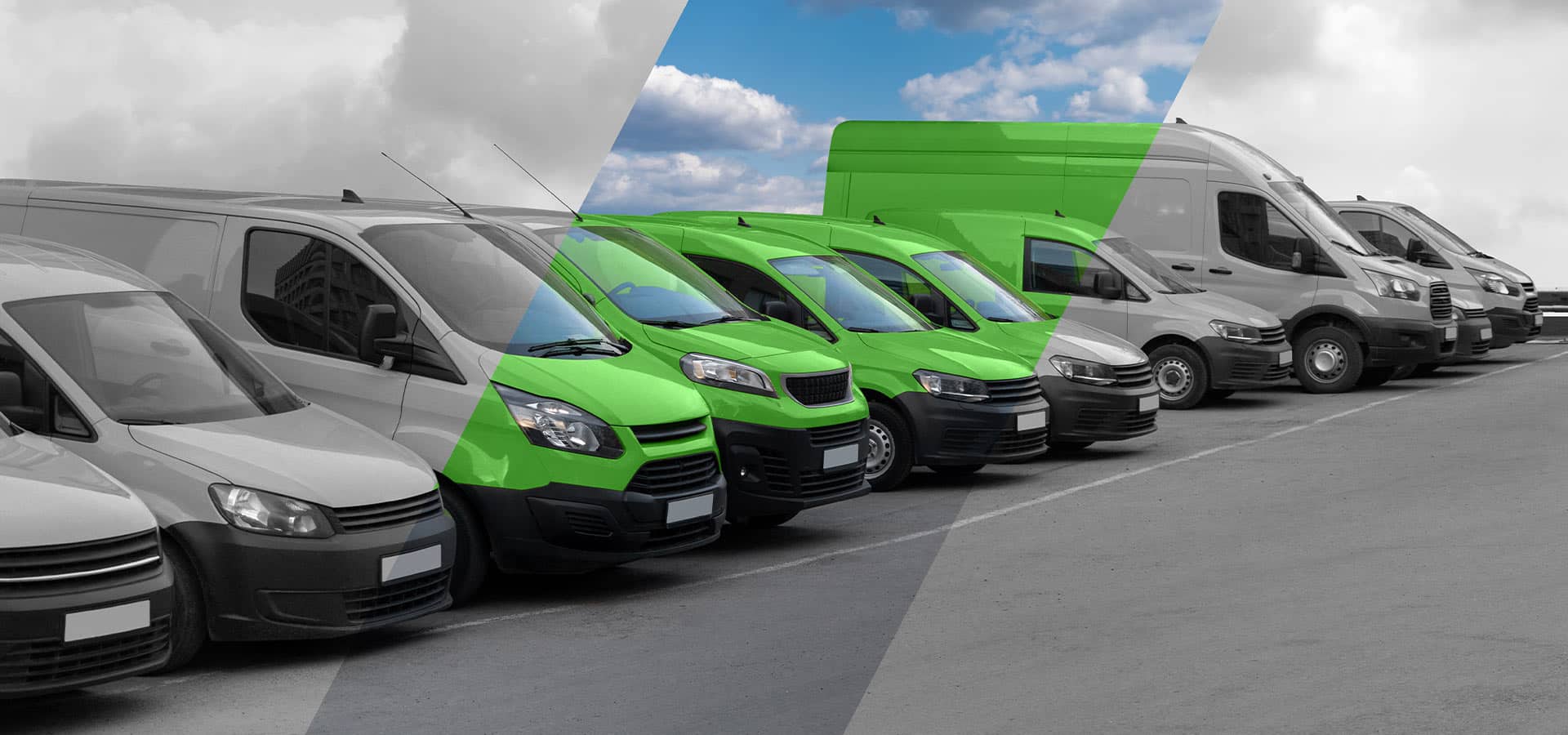 Fleet vehicles in a row with green strip